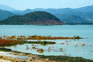 UBND tỉnh Bình Thuận quyết định thu hồi 12.389 m2 đất của Công ty CP Xây dựng công trình và Đầu tư địa ốc Hồng Quang tại xã Hòa Thắng, huyện Bắc Bình (Hình minh họa) 