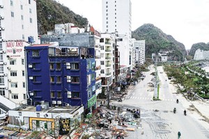 Hình ảnh tan hoang tại đảo Cát Bà sau khi bão số 3 càn quét