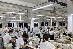 Xuất khẩu sang Hoa Kỳ được dự đoán tiếp tục tăng trưởng trong năm 2025.