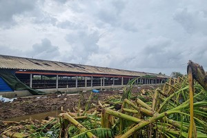 Ảnh minh hoạ. (Nguồn: Internet)