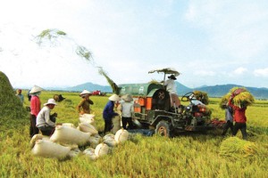 Các dịch vụ logistics phục vụ sản xuất, kinh doanh nông nghiệp chưa phát triển đồng bộ, chưa gắn kết chặt chẽ với các vùng nguyên liệu và giữa vùng nguyên liệu với chế biến, tiêu thụ nông sản. 