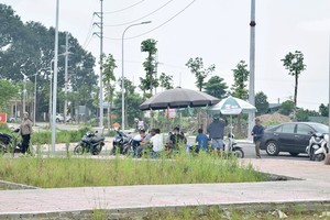 Những lô đất tạo nên phiên đấu giá gây xôn xao thị trường tại Hoài Đức tháng 10/2024. Ảnh: Anh Vũ 