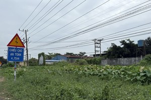 Khu đất của Công ty Hoàn Lệ để hoang hóa nhiều năm vì Dự án vì cấp chồng ranh với Dự án Khu công nghiệp Hựu Thạnh của IDICO.