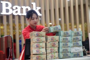 Hệ thống ngân hàng đang đóng vai trò là nguồn cung ứng vốn chủ yếu cho nền kinh tế 