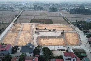 Nhiều địa phương đang tích cực mở lại các phiên đấu giá đấu. Ảnh: Phan Thiên