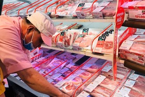 Giá lợn lập kỷ lục, có nơi chạm mốc 83.000 đồng/kg 