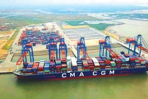 Biến số cước vận tải biển