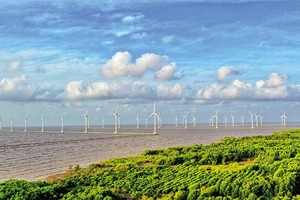 Hiện mới chỉ có khung giá cho điện gió trên bờ và điện gió gần bờ, chưa có khung giá với điện gió ngoài khơi. Ảnh: Đức Thanh 