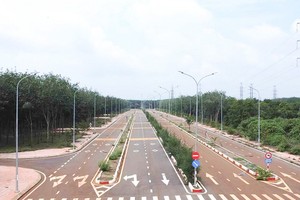 Cụm công nghiệp Long Giao, huyện Cẩm Mỹ, Đồng Nai sẽ được tổ chức đấu giá trong năm 2025.