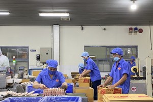 Nhiều doanh nghiệp chưa nắm rõ các quy định và chính sách về ESG.