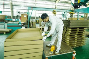 Sự bùng nổ mua sắm trực tuyến là một động lực quan trọng cho ngành bao bì giấy phát triển (Ảnh: Đức Thanh)