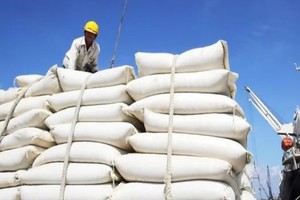 Bộ trưởng Công thương yêu cầu thực hiện nguyên tắc kép trong điều hành xuất khẩu gạo. 