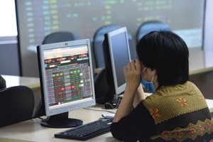 Công cụ pháp lý bảo vệ cổ đông nhỏ