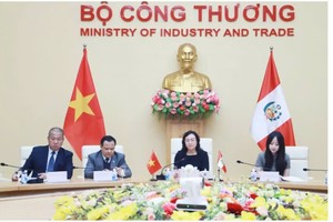 Thứ trưởng Phan Thị Thắng và Thứ trưởng Bộ Ngoại giao Peru chủ trì Kỳ họp toàn thể lần III Ủy ban liên Chính phủ Việt Nam - Peru. 