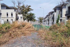 Một dự án nhà phố, biệt thự rộng 1.000 ha tại TP. Biên Hòa (tỉnh Đồng Nai) với giá bán hàng chục tỷ đồng/căn, nhưng không người ở. 