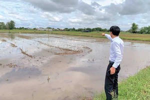 Một nhân viên môi giới đang giới thiệu “đất sào” với khách.