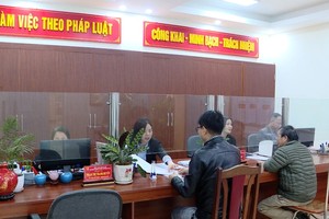 Sở Nông nghiệp và Môi trường Hà Nội tiếp nhận, giải quyết thủ tục hành chính cho công dân. Ảnh: Minh Phú