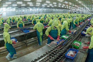 Đồng Tháp đặt mục tiêu giá trị xuất khẩu hàng hoá của tỉnh đạt 2,4 tỷ USD trong năm 2025 Ảnh: dongthap.gov.vn