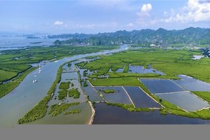 Hải Phòng muốn tái đầu tư nguồn thu từ giao dịch tín chỉ các-bon 