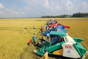 Nông nghiệp đóng góp gần 15% GDP quốc gia, là ngành kinh tế nền tảng đảm bảo an sinh xã hội, nhưng cũng là lĩnh vực chịu nhiều rủi ro.