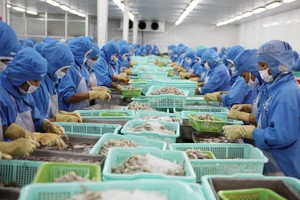 Doanh nghiệp thủy sản đang nỗ lực dịch chuyển thị trường xuất khẩu để giảm thiểu rủi ro từ thị trường Mỹ