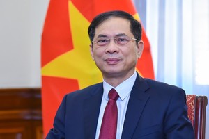 Phó thủ tướng, Bộ trưởng Bộ Ngoại giao Bùi Thanh Sơn