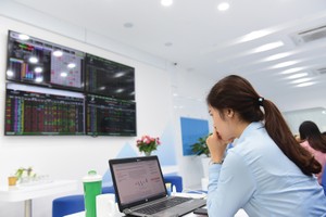 “Vùng tránh bão” của quỹ đầu tư