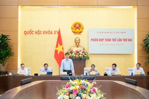 Phó chủ tịch Quốc hội Vũ Hồng Thanh phát biểu tại phiên họp - Ảnh Nghĩa Đức. 