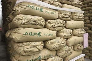 Gạo tại kho dự trữ ở Fukushima, Nhật Bản. Ảnh: Kyodo/TTXVN
