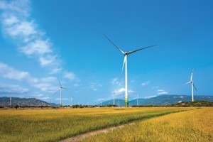  Tín dụng xanh đang tập trung chủ yếu vào các ngành năng lượng tái tạo, năng lượng sạch