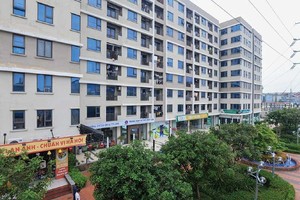 Thủ tướng đánh giá cao tinh thần triển khai quyết liệt, nghiêm túc của nhiều bộ, ngành. Ảnh: VGP