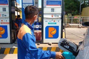 Về lâu dài, cần nghiên cứu phương án sửa đổi một cách đồng bộ cả thuế tiêu thụ đặc biệt lẫn thuế bảo vệ môi trường để có thể đánh thuế đối với mặt hàng xăng một cách hợp lý. 