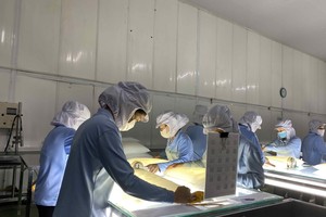 Đầu tư phát triển bền vững mang lại nhiều lợi thế cho doanh nghiệp trong hoạt động xuất khẩu hiện nay.