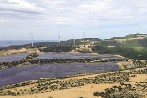 Quy hoạch Điện VIII điều chỉnh đặt ra mục tiêu đến năm 2030, tổng công suất điện gió đạt 26.066 - 38.029 MW. Ảnh: Đ.T 