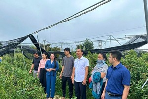 Hà Nội đạt chuẩn nông thôn mới toàn diện sau gần 15 năm triển khai Chương trình mục tiêu quốc gia 