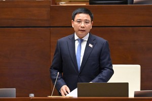 Nghiên cứu để chính sách ưu đãi cho khu thương mại tự do Hải Phòng được áp dụng cho Đà Nẵng 