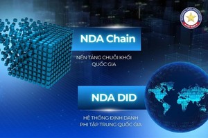 Hai nền tảng dữ liệu blockchain do Hiệp hội dữ liệu Quốc gia phát triển.