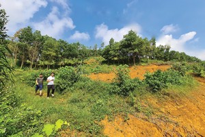 Trong giới đầu tư, tâm lý “sợ bỏ lỡ” luôn hiện hữu, vì vậy nhiều người dễ bị dẫn dụ bởi hình ảnh nườm nượp đi săn đất 