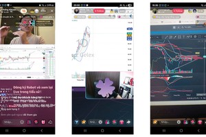 Chỉ cần tìm kiếm cụm từ “đầu tư chứng khoán”, người dùng có thể thấy hàng ngàn video ngắn, vô vàn TikTok livestream hàng ngày