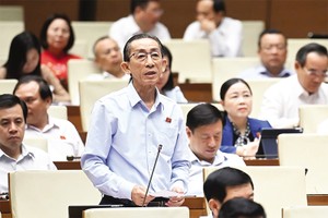 Đại biểu Trần Hoàng Ngân (TP.HCM) phát biểu tại hội trường 