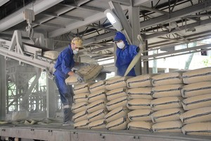 Các đơn vị thuộc Bộ Xây dựng phải gửi văn bản kê khai giá xi măng theo quy định mới. 