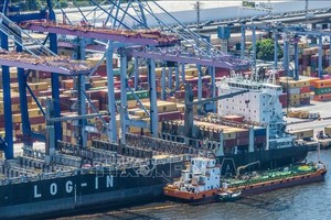 Quang cảnh cảng hàng hoá ở Rio de Janeiro, Brazil. Ảnh: THX/TTXV