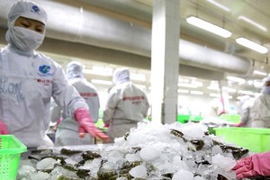 Kim ngạch xuất khẩu nông, thủy sản 5 tháng đầu năm đạt gần 17,7 tỷ USD, tăng 15,8% so với cùng kỳ năm ngoái. Ảnh: Lê Tiên