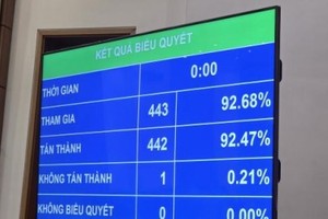 Quốc hội biểu quyết thông qua Nghị quyết về điều chỉnh chủ trương đầu tư Dự án đầu tư xây dựng đường bộ cao tốc Biên Hòa - Vũng Tàu giai đoạn 1. 