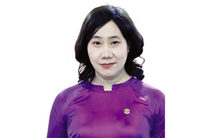 TS. Nguyễn Thị Hương, Cục trưởng Cục Thống kê (Bộ Tài chính)