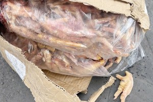 Phát hiện vụ thẩm lậu 1.400 tấn chân gà đông lạnh, trốn thuế 7 tỷ đồng 