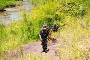 Tập trung đánh đúng, đánh trúng các đối tượng chủ mưu buôn lậu, gian lận thương mại 