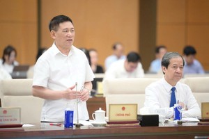 Phó thủ tướng Hồ Đức Phớc phát biểu tại phiên họp. 