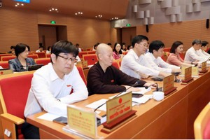 Các đại biểu nhấn nút thông qua Nghị quyết.