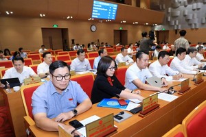 Các đại biểu nhấn nút tán thành danh mục đất dự kiến thực hiện dự án thí điểm. Ảnh: Phạm Hùng